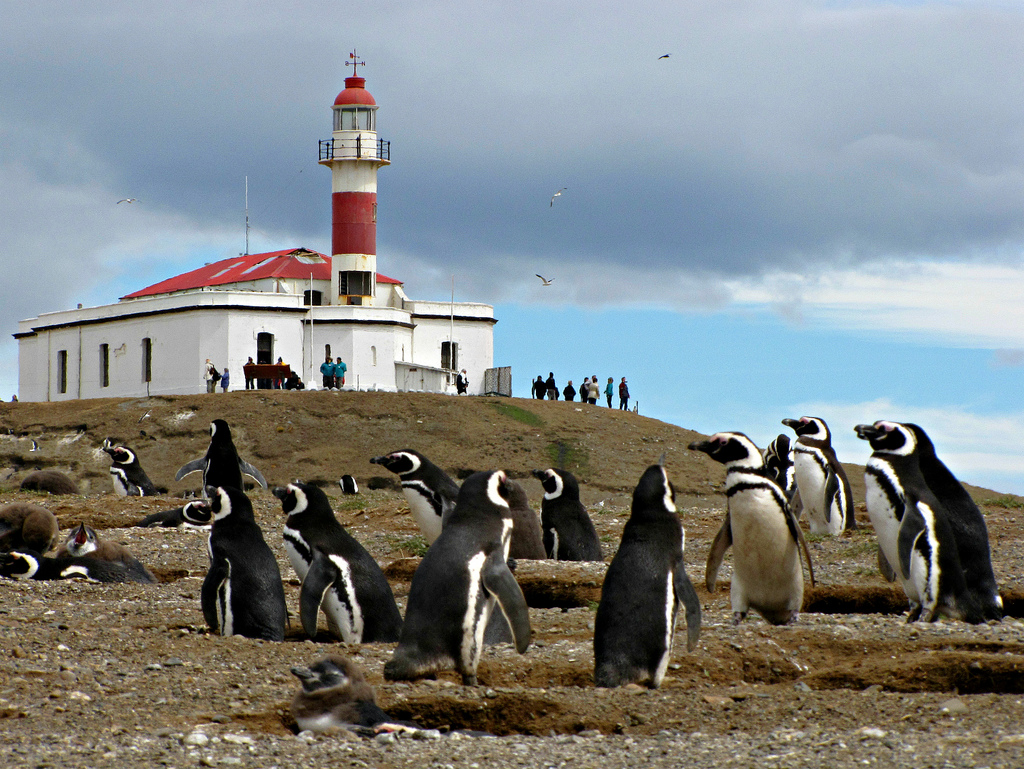 CRUCEROS AUSTRALIS CRUCEROS STELLA AUSTRALIS CRUCEROS TIERRA DE FUEGO CRUCEROS PATAGONIA CRUCEROS CHILE CRUCEROS PATAGONIA ARGENTINA CRUCEROS FIORDOS DE CHILE CRUCEROS GLACIARES SUDAMERICA CRUCEROS SUDAMERICA CRUCEROS FIORDOS DE CHILE CRUCEROS TIERRA DE FUEGO CRUCEROS AUSTRALIS CRUCEROS DE EXPEDICION CRUCEROS CHILE CRUCEROS CHILEAN FJORDS CRUISE PATAGONIAN CRUISES AUSTRALIS CRUISES FIORDOS GLACIARES PATAGONIA CRUCEROS SUDAMERICA CRUCEROS SUR AMERICA CRUCEROS AMERICA DEL SUR CRUCEROS FIORDOS DE CHILE EXPEDITION CRUISES CRUCEROS DE EXPLORACION #CrucerosAustralis #CrucerosFiordosDeChile #ChileanFjords #Chile #Patagonia #Argentina #Cruceros #Cruises #CrucerosDeExpedicion #CrucerosDeExploracion #Cruceroclick